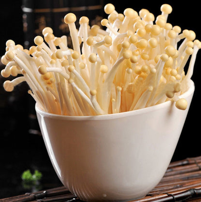  ToshiFarm Broed Voor Enoki - 50 Gram - Zelf Enoki Kweken - Broed Voor Fluweelpootje - Paddenstoel Sporen - Eco Cadeau