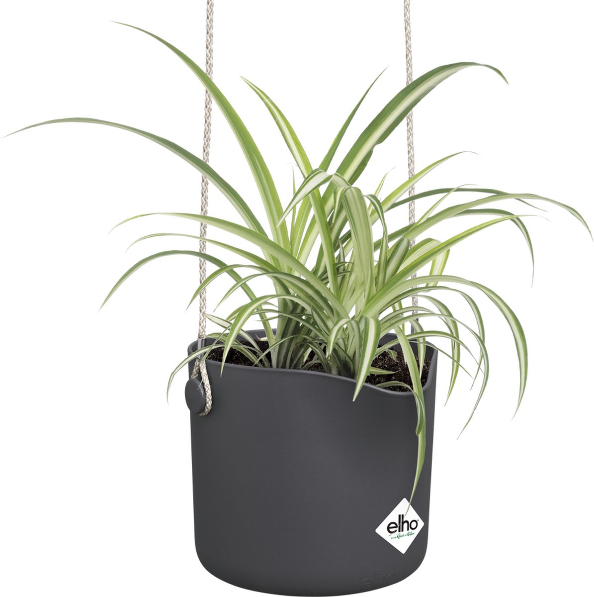  Elho B.for Swing 18 Hangpot - Bloempot Voor Binnen - Ø 18.0 X H 16.5 Cm - Zwart/Antraciet