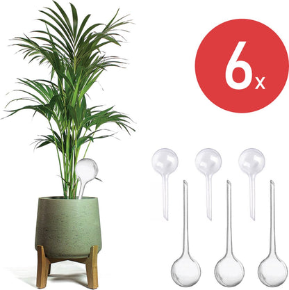 Merkloos JADI - Druppelsysteem - Waterdruppelaar Voor Uw Planten - Set Van 6 Stuks - 3 Grote &amp; 3 Kleine - Transparante Waterbollen