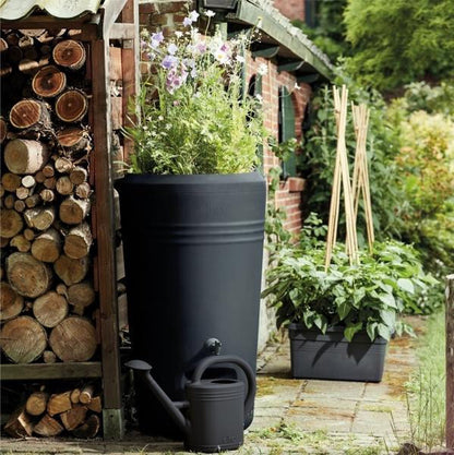  Elho Green Basics Regenton - Regenton - Living Black - Buiten - 200 Liter