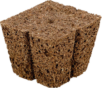  EAZY PLUG Zaaitray En Stektray Met 77 Pluggen 3,5 X 3,5 X 3 Cm.