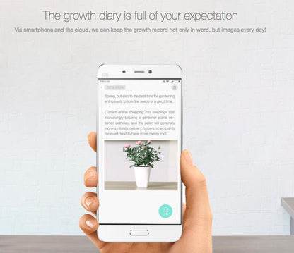  Xiaomi HHCC - Flower Care Smart Plant Sensor | Houdt De Welzijn Van De Planten Goed In De Gaten!!