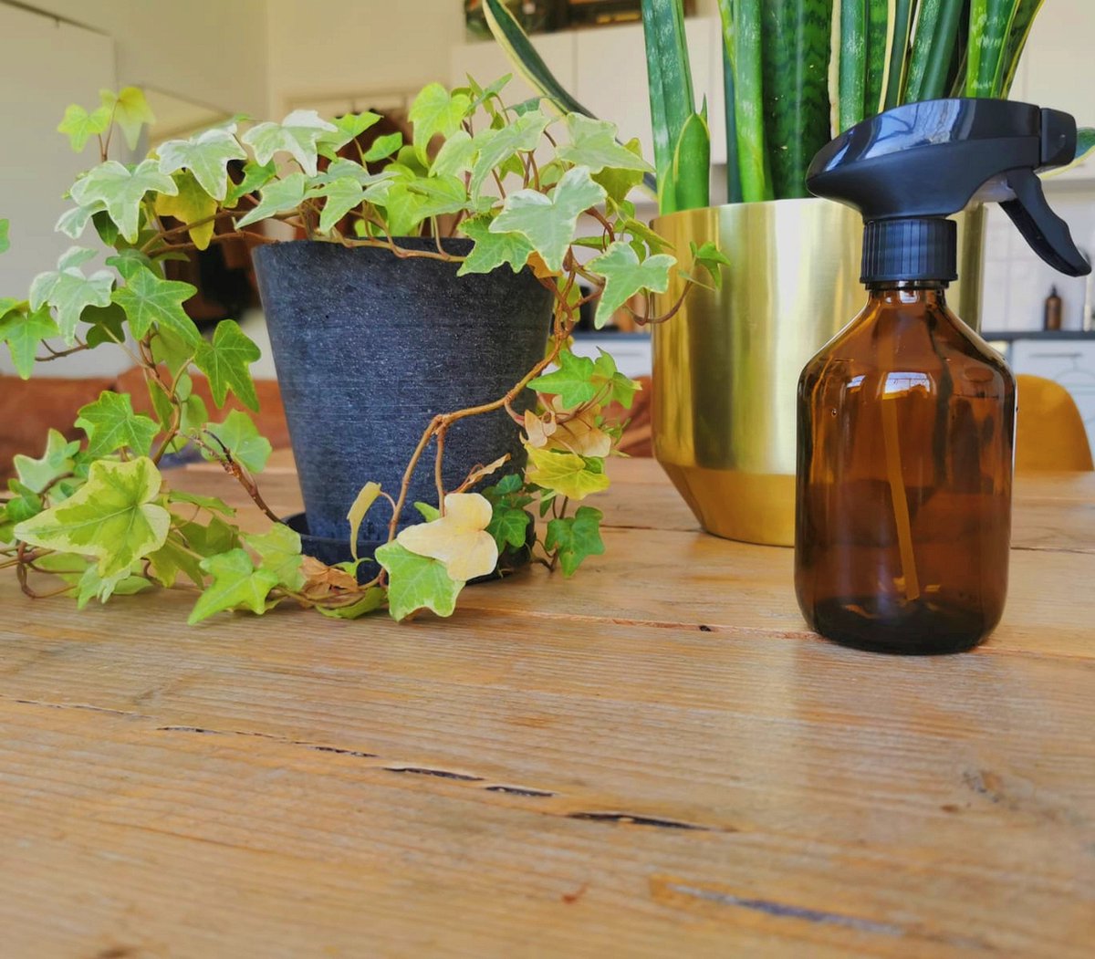  24DOTS Living Plantenspuit | 300 Ml Bruin Amber Glas | Plantensproeier | Plantenspuit Binnen | Waterverstuiver | Vernevelaar