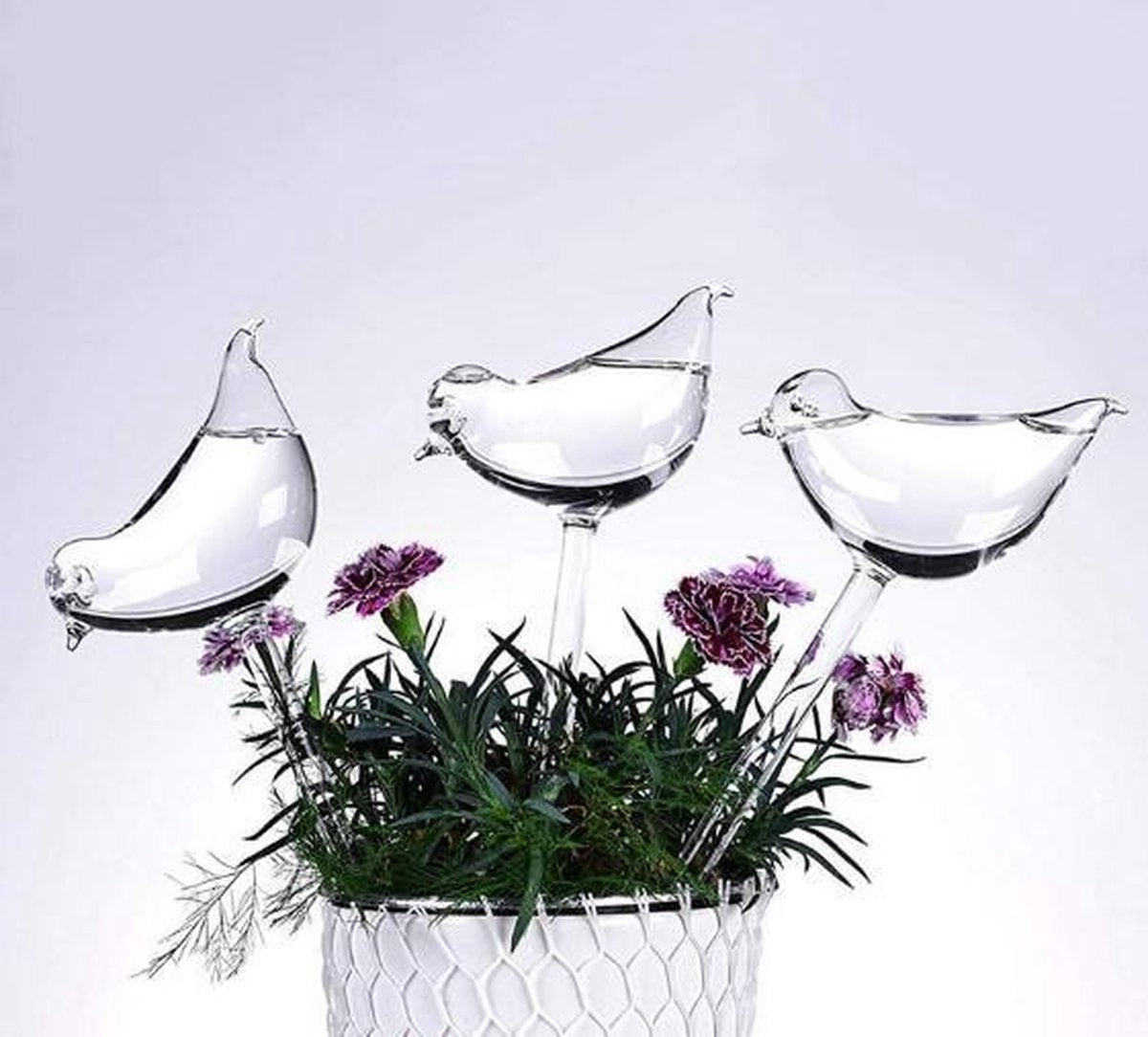  Waterdruppelaar Planten - Vorm Vogel - Set Van 3 Kunststof Druppelaars - 25cm Lengte - Genoeg Water Tijdens Je Vakantie