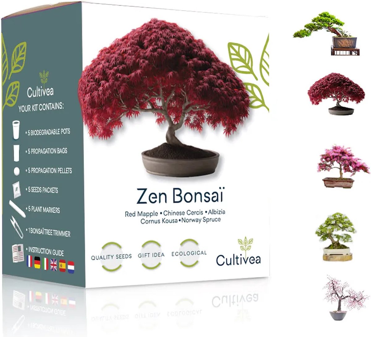  Mini Zen Bonsai Kit