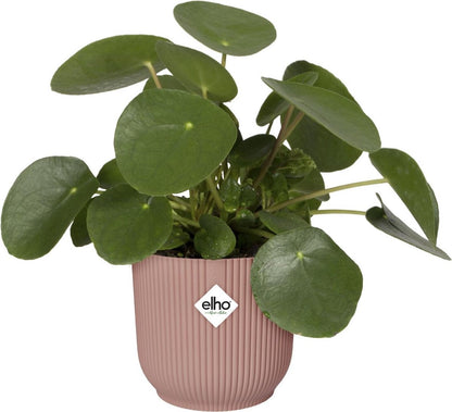  Elho Vibes Fold Rond Wielen 35 - Bloempot Voor Binnen - Ø 34.9 X H 32.4 Cm - Delicaat Roze