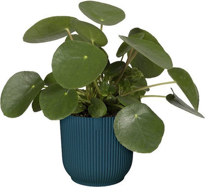  Elho Vibes Fold Rond 22 - Bloempot Voor Binnen - Ø 22.0 X H 20.2 Cm - Diepblauw