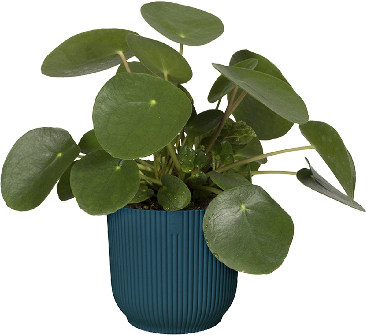  Elho Vibes Fold Rond 22 - Bloempot Voor Binnen - Ø 22.0 X H 20.2 Cm - Diepblauw
