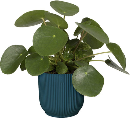  Elho Vibes Fold Rond 22 - Bloempot Voor Binnen - Ø 22.0 X H 20.2 Cm - Diepblauw