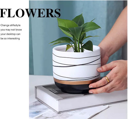  Bloempotten Binnen - Keramiek - Gouden Rand - Bloempot Buiten - Afvoergat 24 Cm - Wit Zwart – Groot