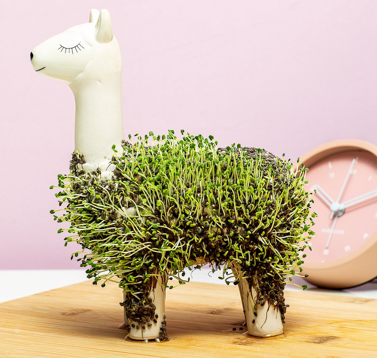  Gift Republic Lama Bloempot Met Zaadjes