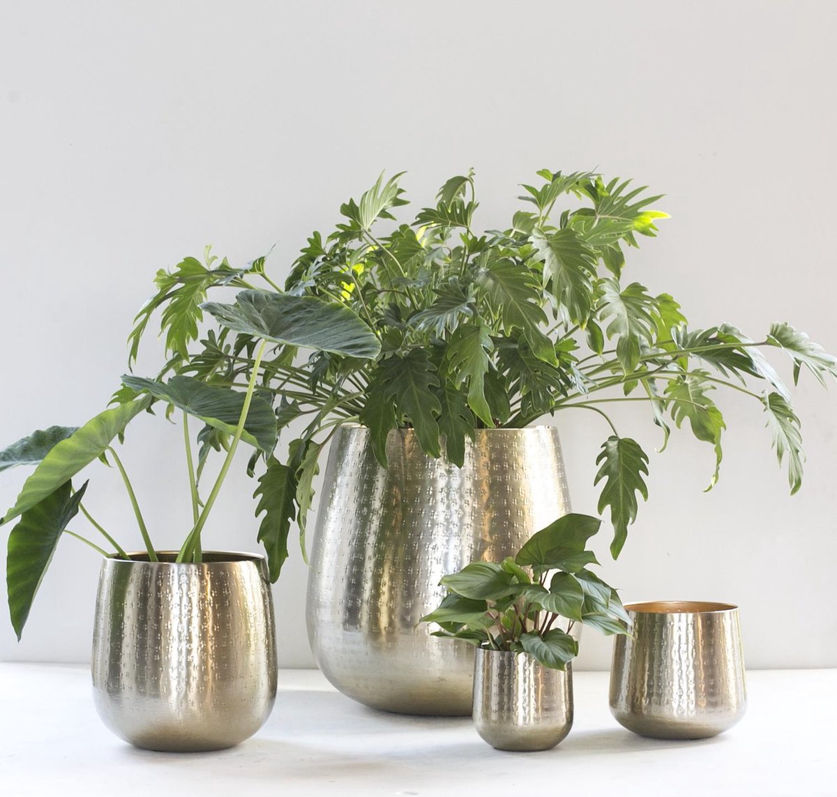  Gina Da - Bloempot - Karakter - Goud - Metaal - 15 Cm Hoog