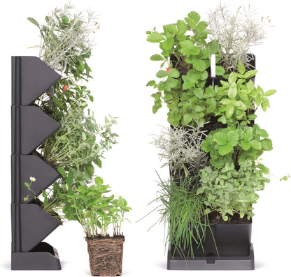 Prosperplast Verticale Kruidentuin Kunststof - Staand/hangend - Modulair - Antraciet Grijs - L 20 X B 11 X H 48 Cm - Incl. Kruidenschaar
