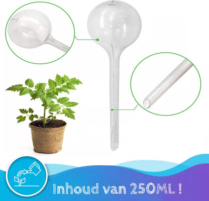  Summer Spark Waterdruppelaar Voor Planten 6 Stuks Transparant – 27 CM X 8 CM – 250 ML – Automatisch Watergeefsysteem Voor Kamerplanten – Planten Watergever Met Druppelsysteem – Waterbol