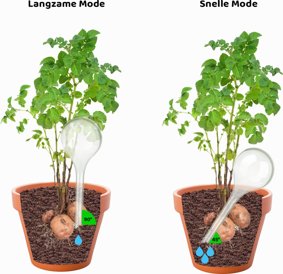  Druppelsysteem 12 Stuks Waterdruppelaar Voor Planten - Waterafgiftesysteem Voor 2 Weken - Beregening Voor Kamerplanten