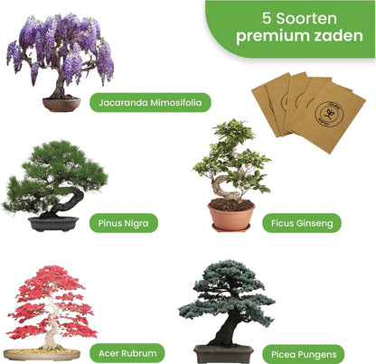  Qubis Bonsai Starters Kit - 23 Delige Kweekset - 5 Soorten Premium Zaden - DIY Pakket - Binnen Bonsai Boompje Kweken - Incl. Rouwvliegjes Vanger
