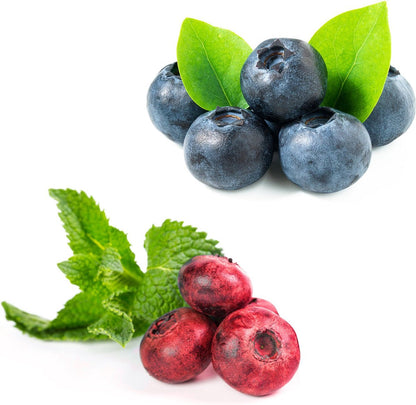  Blauwe Bessen Fruitplanten Mix - Set Van 4 Blauwe Bosbessen - Hoogte 50-60 Cm - Zelfbestuivend, Winterhard