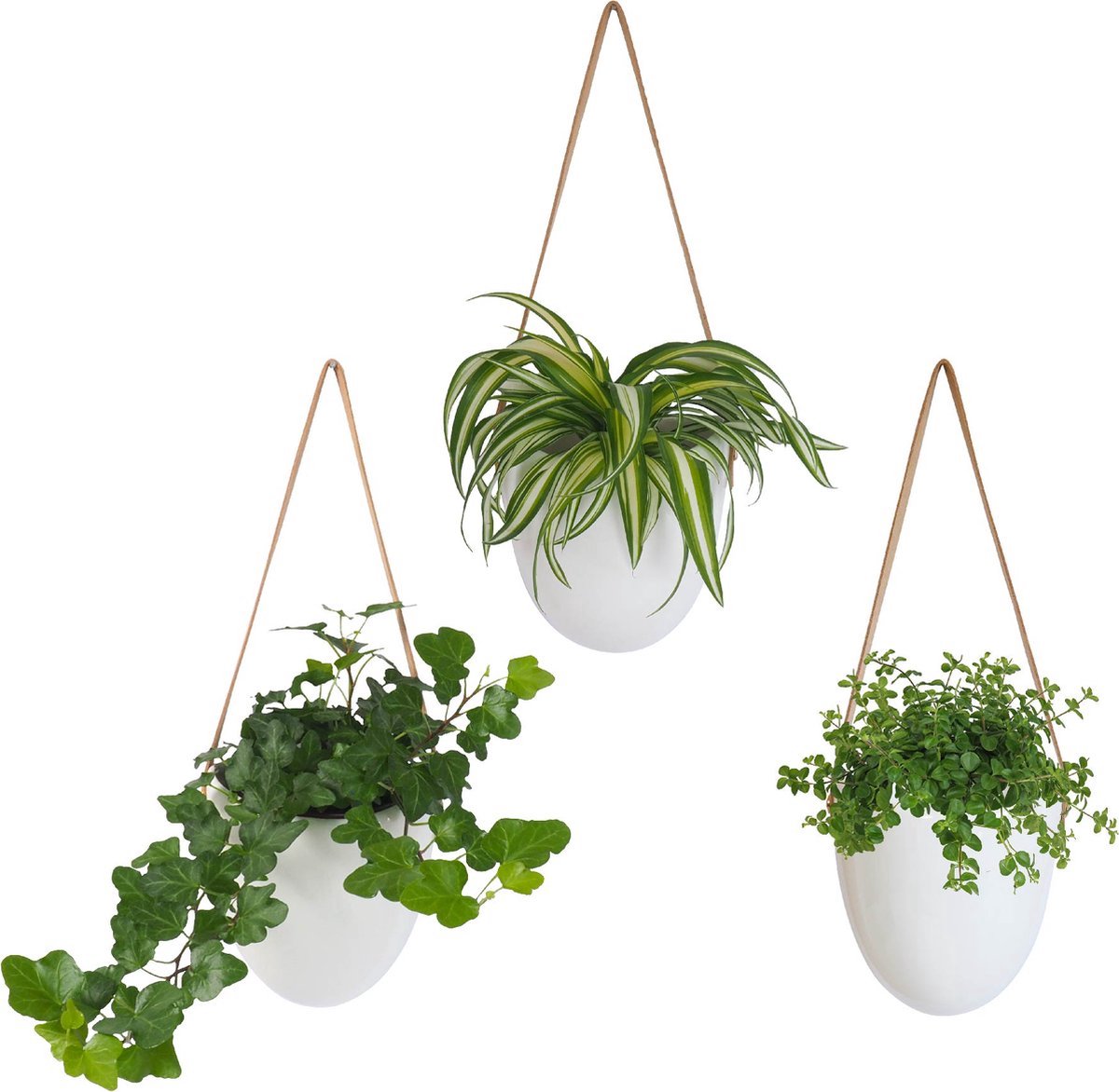  Gadgy Plantenhanger Keramiek - Set Van 3 - Hangpot Van Wit Steen - Hangende Bloempot Plantenpot - Met 3 Verschillende Koorden - 12x11x9.5CM