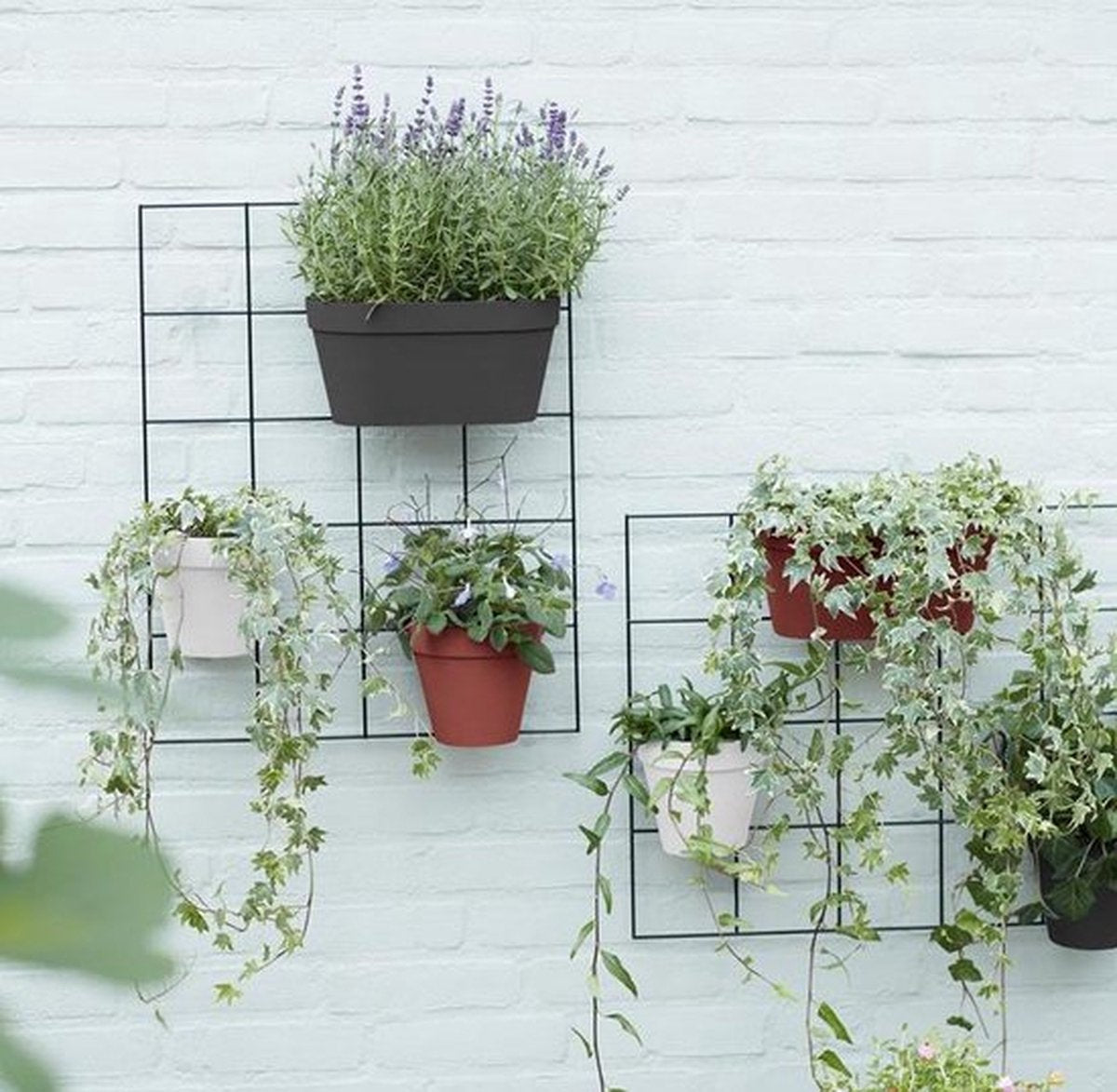  Elho Loft Urban Green Wall Rek 48 - Accessoires Voor Buiten - Ø 47.3 X H 59.0 Cm - Zwart/Living Black