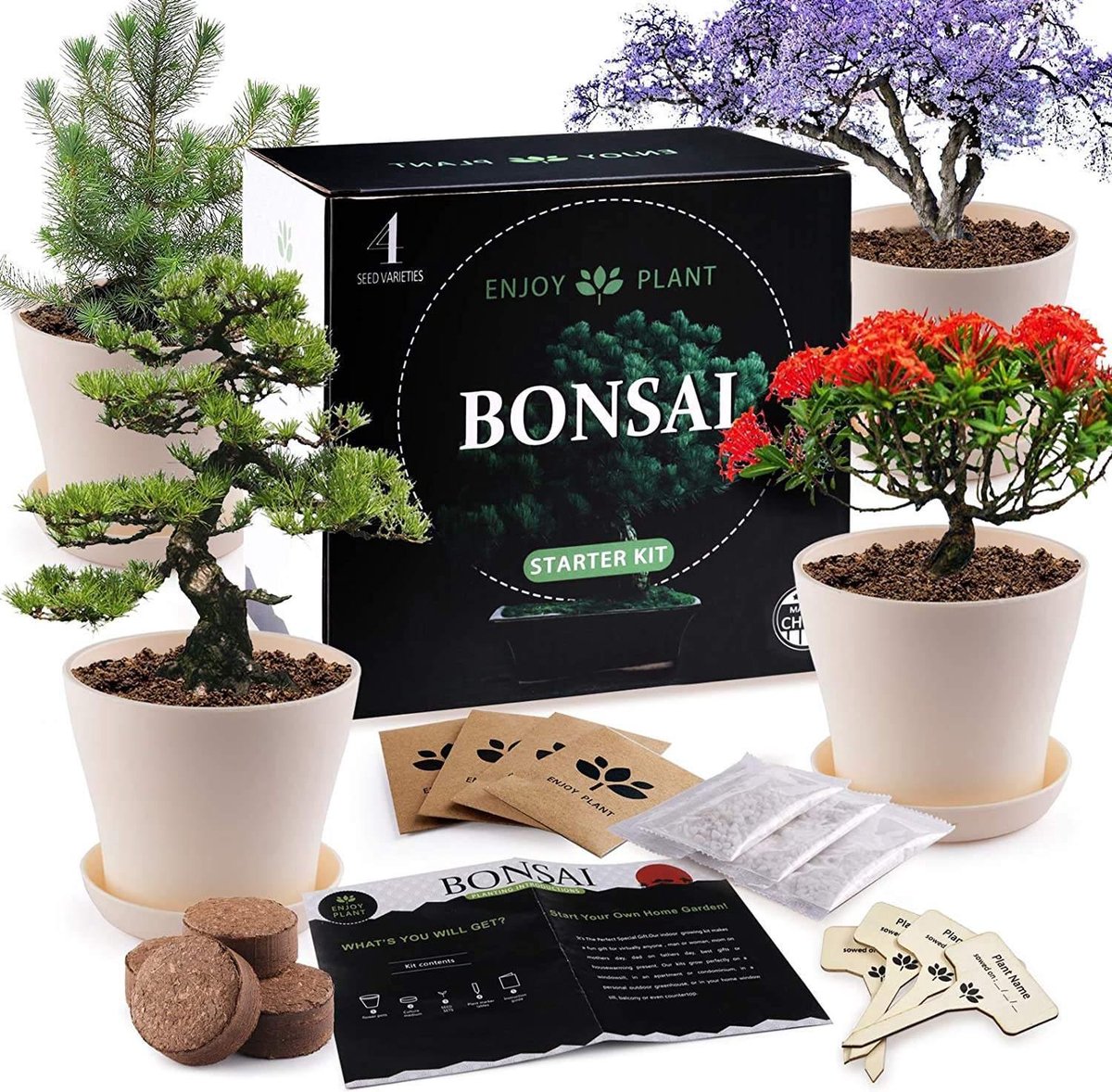  Bonsai Starters Kit - Bonsai Boompje - 5 Delige Set - 4 Soorten Zaden - Incl. E-book &amp; Schaartje