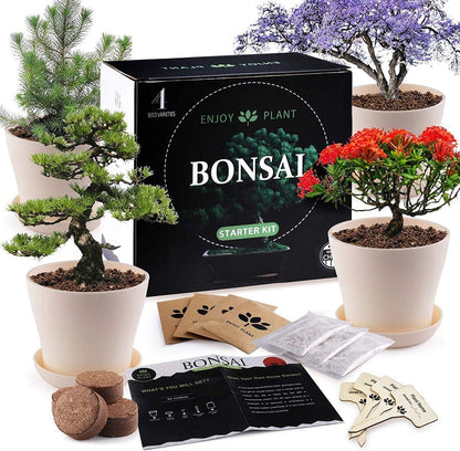  Bonsai Starters Kit - Bonsai Boompje - 5 Delige Set - 4 Soorten Zaden - Incl. E-book &amp; Schaartje