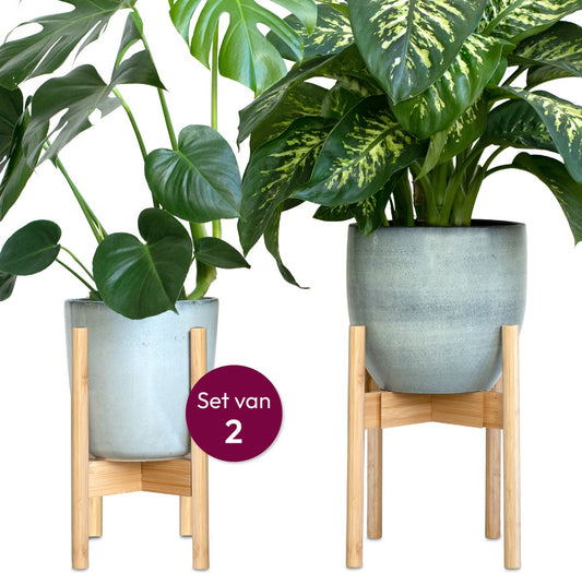  Gadgy Bamboe Plantenstandaard 2 St - Plantentafel - Plantentafeltje Voor Binnen - Plantenrek - Uitschuifbaar - Hout - Ø 20 Tot 30 Cm