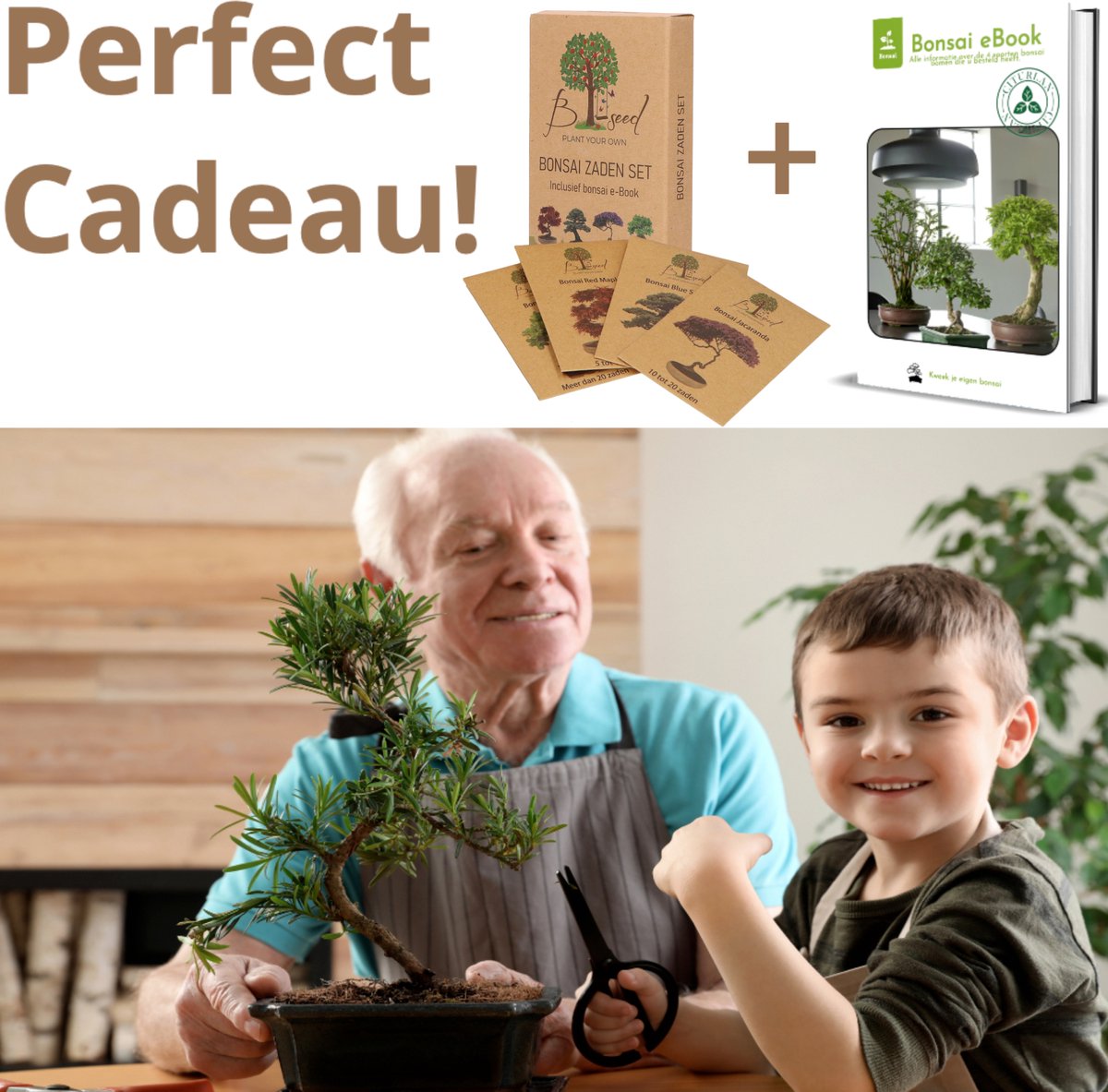  B-seed Zaden Set Incl. E-Book Bonsai Zaden Kweken - Boompje In Pot - Kamerplanten - Kweekset – Cadeau Man &amp; Vrouw - Geschenkset