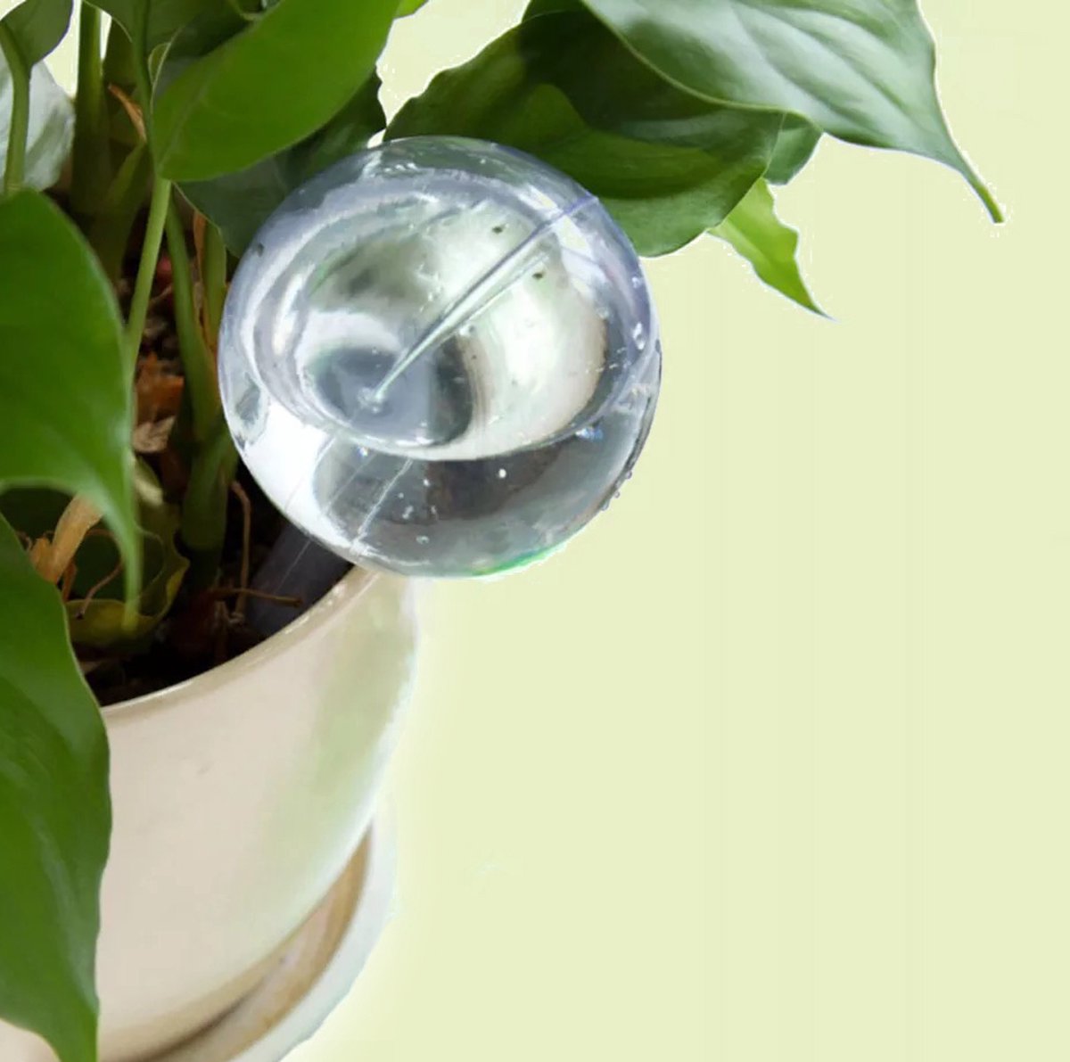  Waterbol Transparant (s) – Set 2 Stuks – Druppelsysteem, Waterdruppelaar, Plantdruppelaar, Watergeefsysteem, Bewateringssysteem Voor Planten, Waterbulb