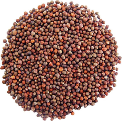 Biologische Broccoli Kiemzaden 250 Gram