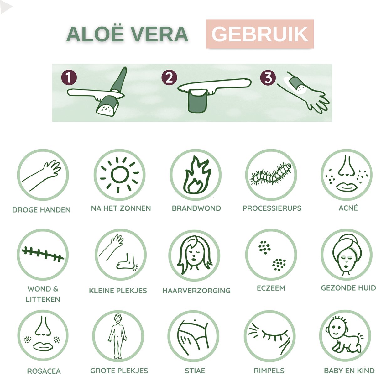  Dr. Green® Broeder Green - Met Kweekhandleiding - Aloë Vera Plant Groot 45 Cm - ø 15 Cm - Kamerplanten - Vetplant - Kamerplant Luchtzuiverend - Succulent