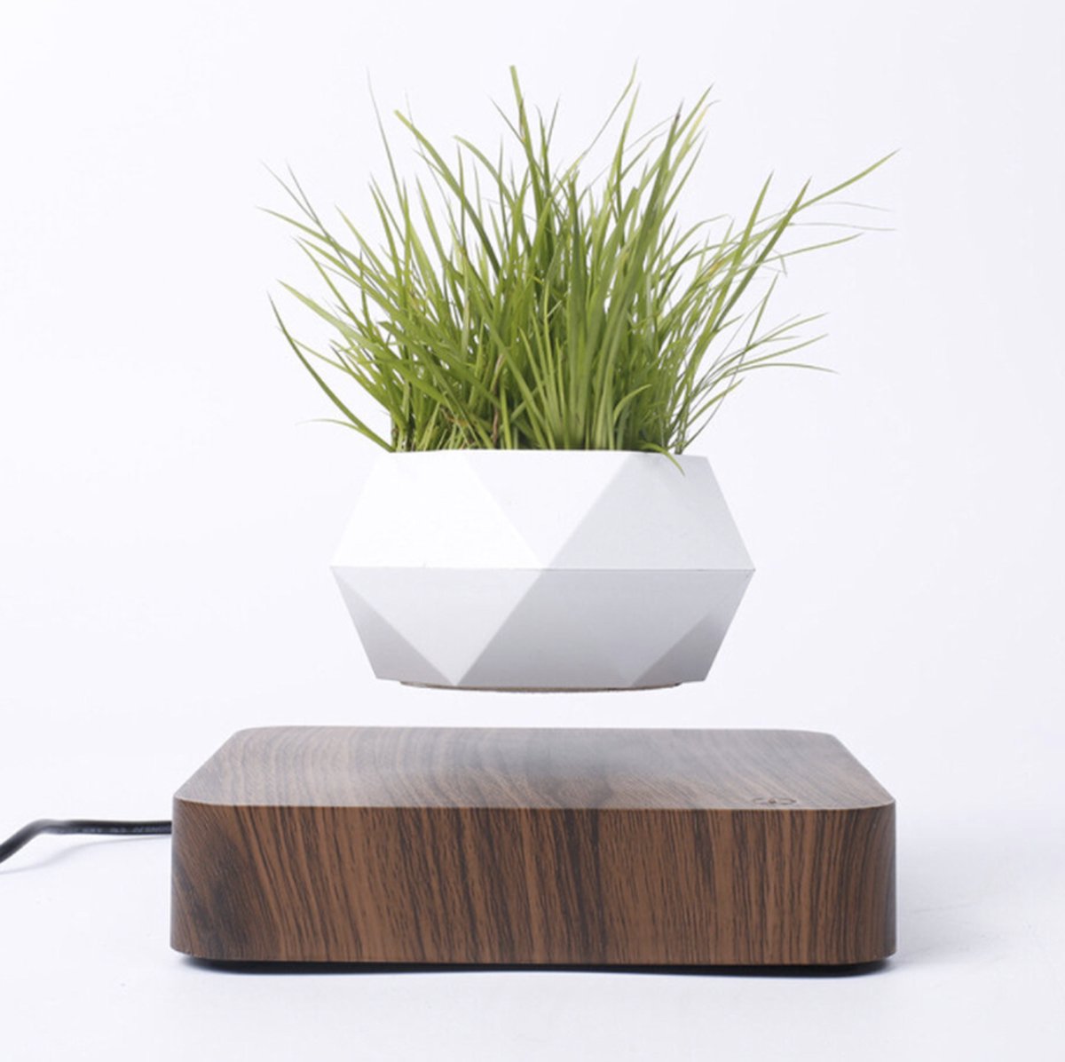  Floatey Design Plant | Zwevende Plant - Bloempot (levitation)