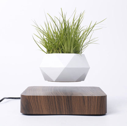  Floatey Design Plant | Zwevende Plant - Bloempot (levitation)