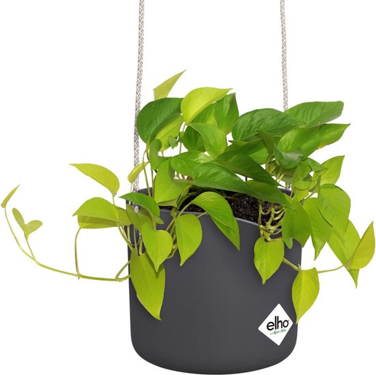  Elho B.for Swing 18 Hangpot - Bloempot Voor Binnen - Ø 18.0 X H 16.5 Cm - Zwart/Antraciet