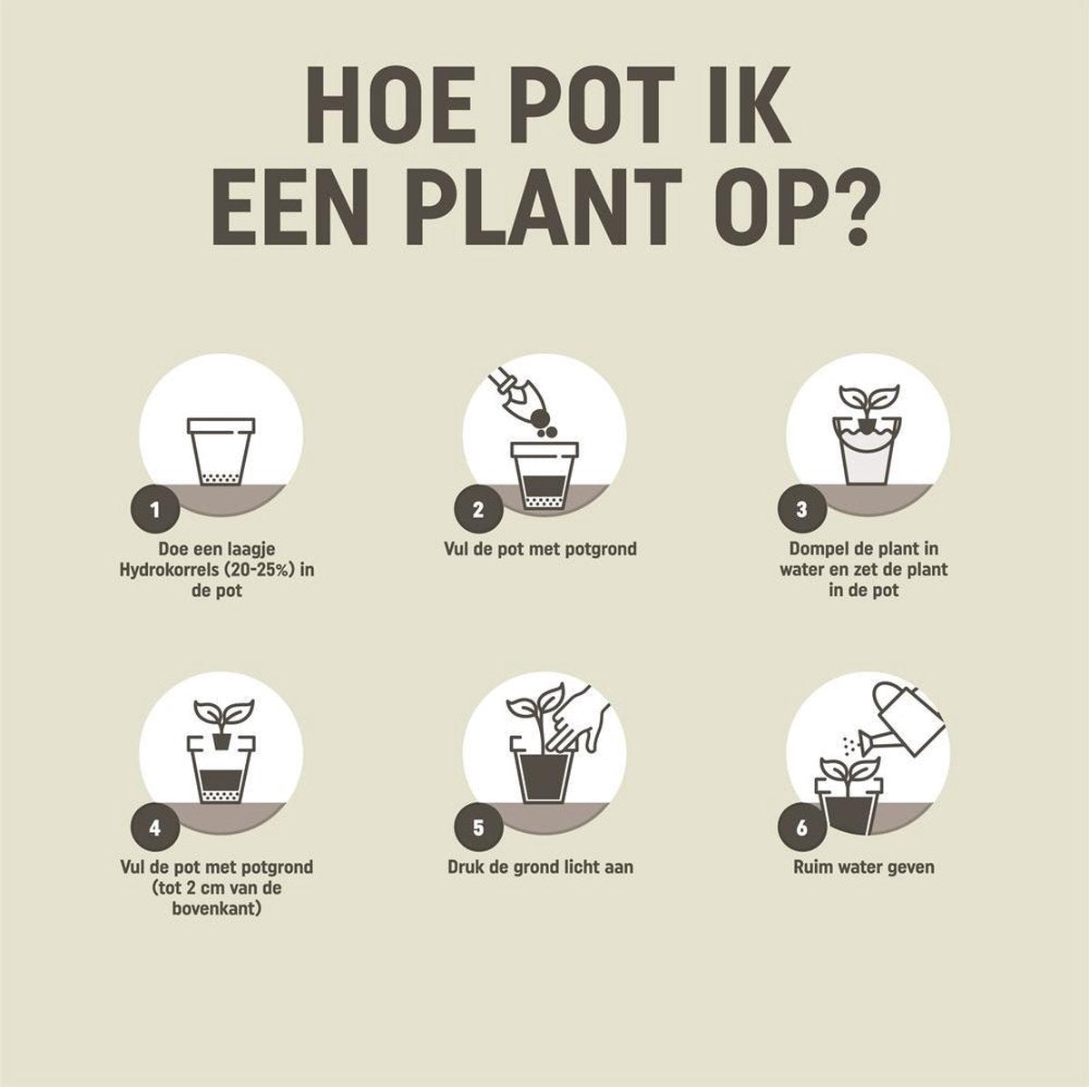  Pokon Universele Potgrond - 10l - Voor Binnen En Buiten - 60 Dagen Voeding - Potgrond Universeel