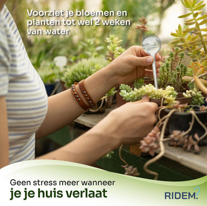  Waterdruppelaar Voor Planten - Irrigatiesysteem- Waterbol - Druppelsysteem - Watergeefsysteem Voor Kamerplanten - Plantenwatergever -6 Stuks - Transparant