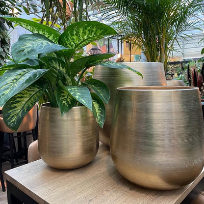 Merkloos Karakter Pot Alu Neo Gold ø40x40cm