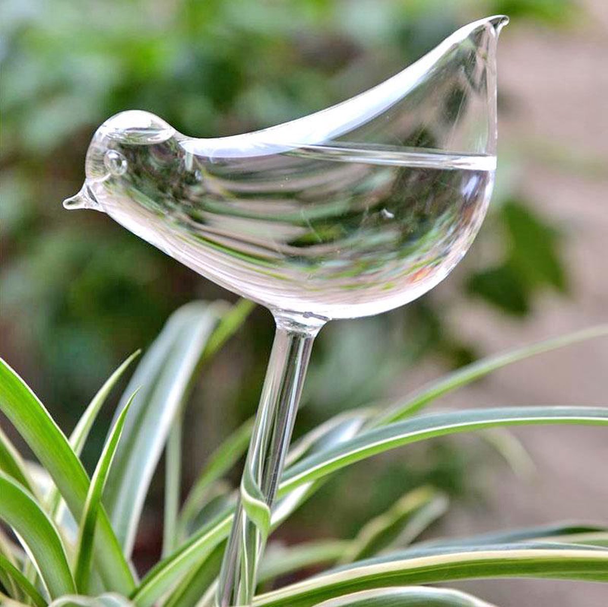  Planten Watergever Glazen Vogel (set Van 2)
