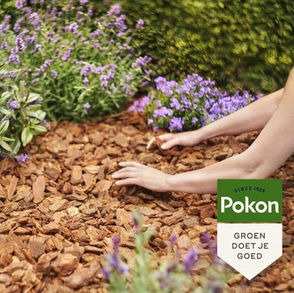  Pokon Verse Boomschors - 60l - Sierschors - Boomschors Bodembedekker