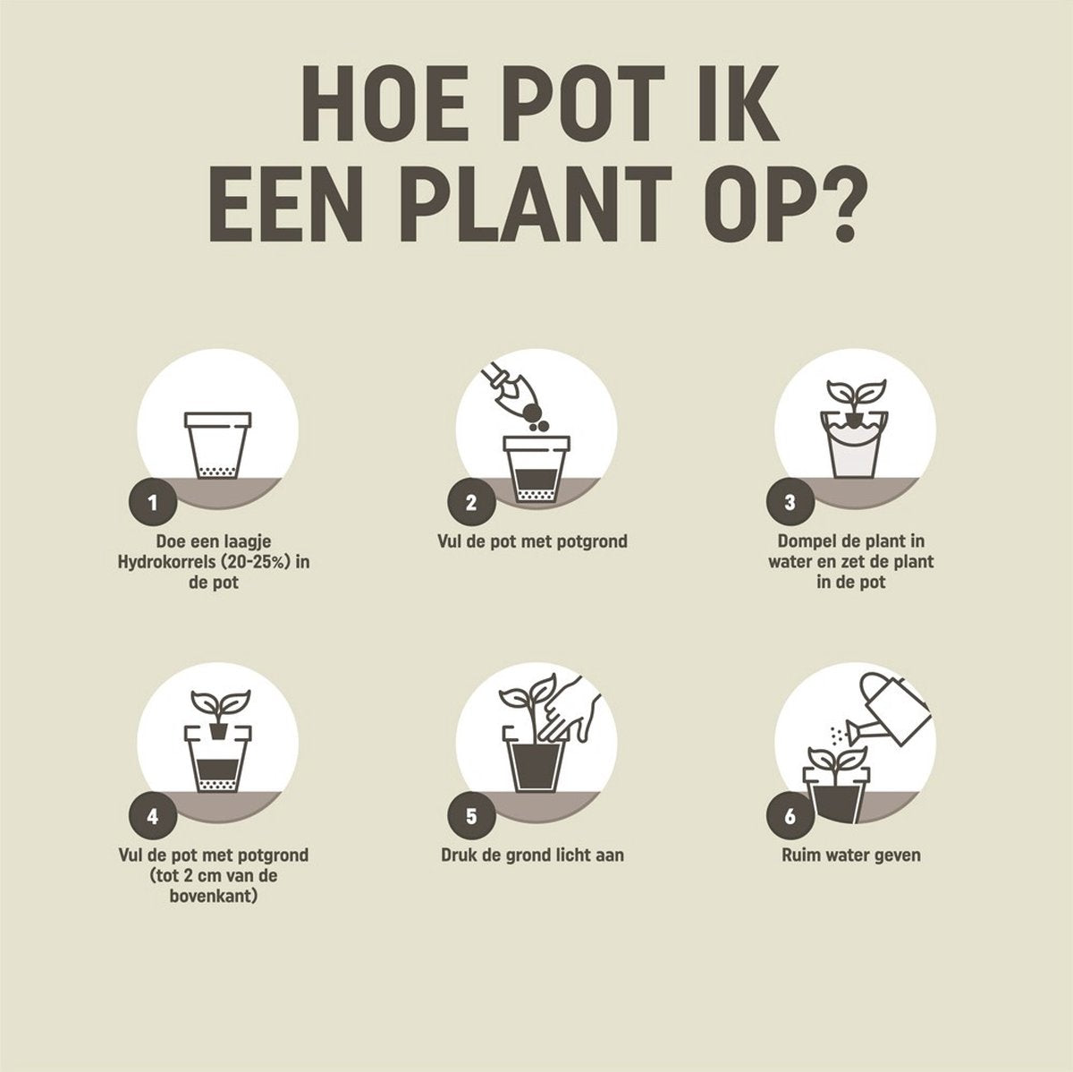  Pokon Kamerplanten Potgrond - 10l - Potgrond (kamerplant) - 6 Maanden Voeding