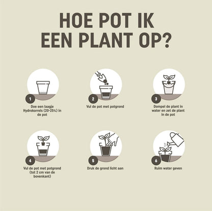  Pokon RHP Bonsai Potgrond - 5l - Potgrond (Bonsai) - 60 Dagen Voeding