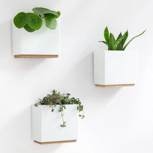  KAZAI. Wandvazen -Alma | Moderne Hangende Bloempotten Voor Aan De Muur | 3-delige Bloempot Set Van Hoogwaardig Hars Voor Kamerplanten, Kunstplanten, Bloemen Enz. | Wit