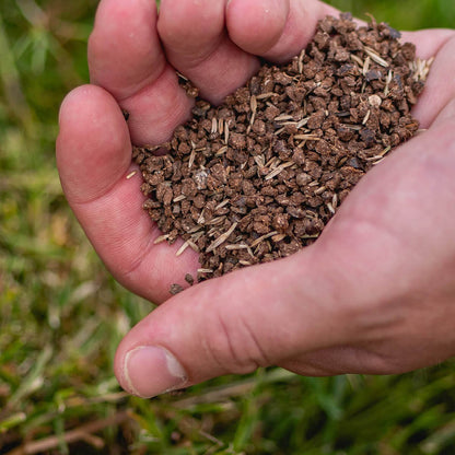  ECOstyle Gazon 4-in-1 Totaalpakket Met Kalk, Mest, Graszaad &amp; Grond In Een Doos - Geeft Kale Plekken In Gras Egaal Herstel - 5- 10 Kale Plekken - 1 KG
