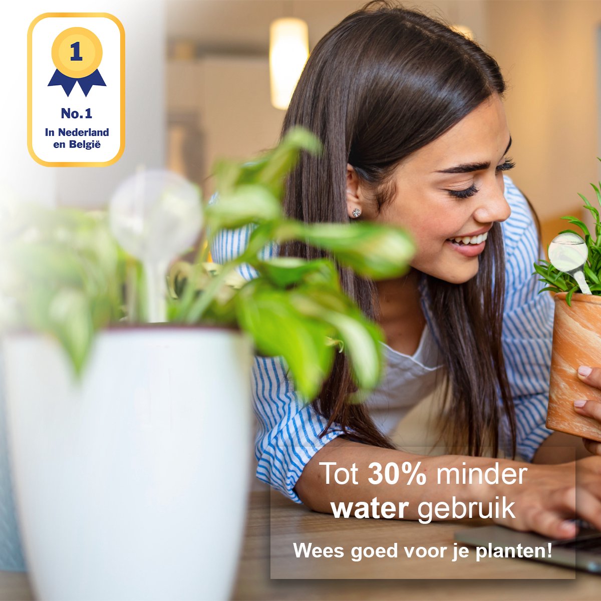  Waterdruppelaar Set Van 12 Stuks - Waterdruppelaar Voor Planten - Watergeefsysteem - Waterbol Irrigatiesysteem - Automatisch Druppelsysteem Voor Kamerplanten &amp; Tuin - Watergever - Transparant - 15cm