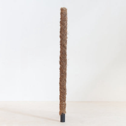  Mosstok - 80cm