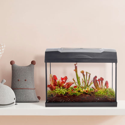  Swampworld Terrarium XL Met Lamp - Vleesetende Planten Terrarium - 5 Verschillende Vleesetende Plant Soorten - L39xB21xH31 Cm