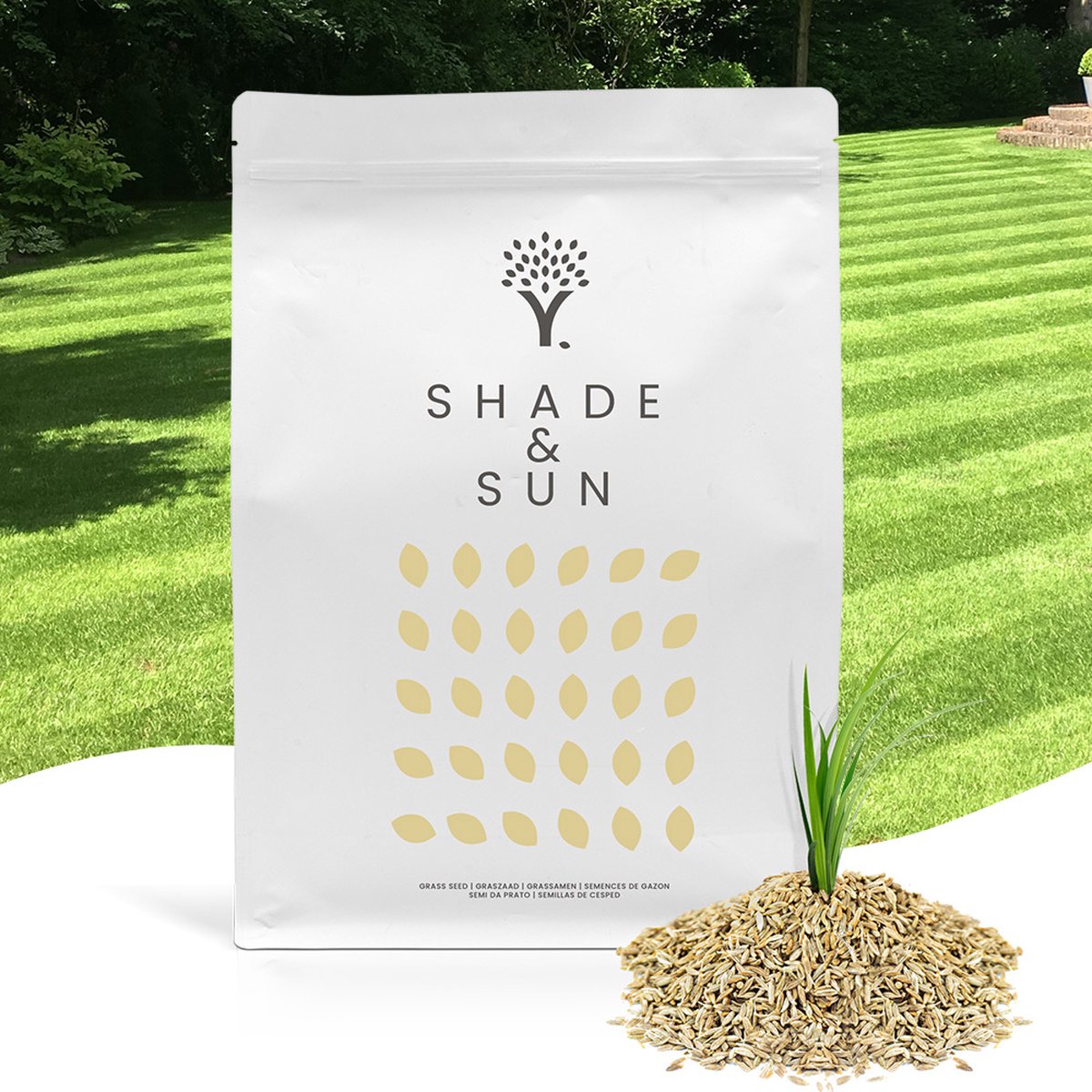  Schaduw Graszaad Voor 50m² Gras | Voor Een Gazon Met Veel Schaduw | Hitte &amp; Droogte Resistent