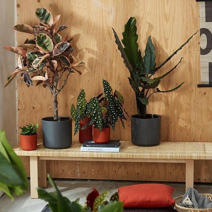  Elho B.for Soft Rond 30 - Bloempot Voor Binnen - Ø 29.5 X H 27.6 Cm - Antraciet