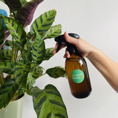  Groeikruid® Plantenspuit | 500 Ml Amber Glas | Met Zwarte Spraykop | Plantensproeier Binnen | Waterverstuiver | Verstuiver | Waterspuit