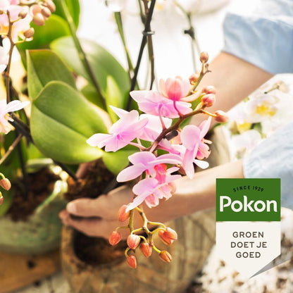  Pokon Orchidee Potgrond - 5l - Potgrond (Orchidee) - 60 Dagen Voeding