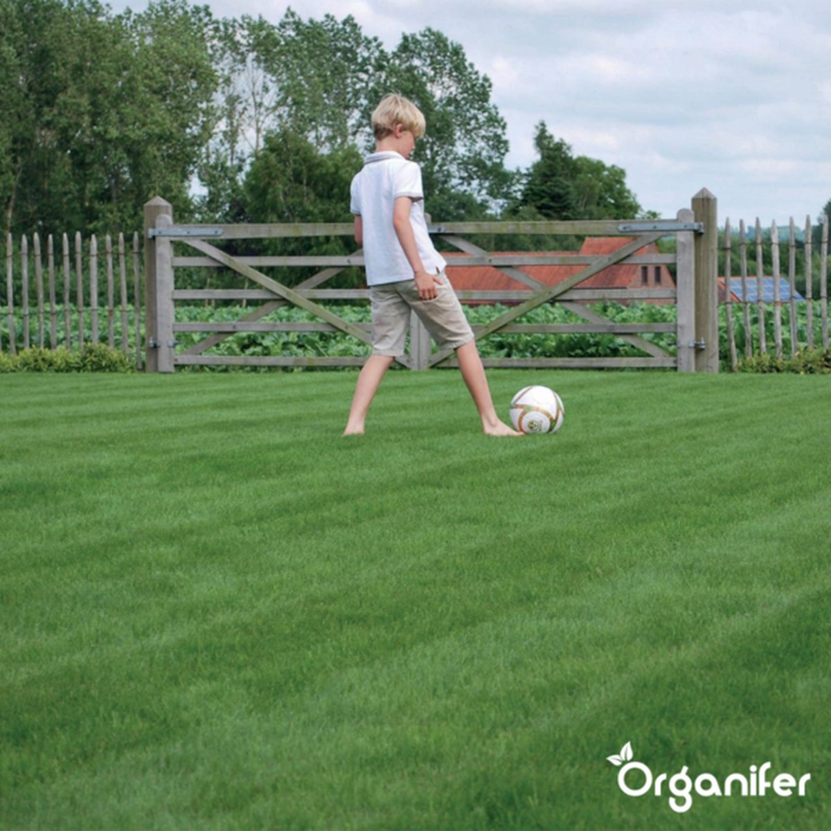  Speelgazon Graszaad (1kg Voor 50m2) - Snelkiemend En Zelfherstellend Sportgazon Bestand Tegen Betreding - Resilient - Organifer